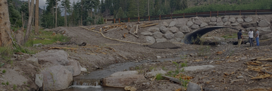 Post-Wildfire Recovery Through Principles of Engineering with Nature Cover Photo